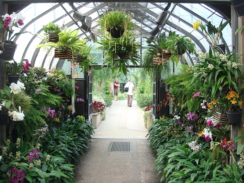 303 Longwood Gardens [2008 August 23].JPG - Longwood Gardens in Pennsylvania